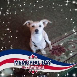 Meet your Posher, Sue